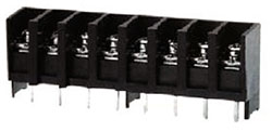 DG31-B