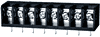 DG36R